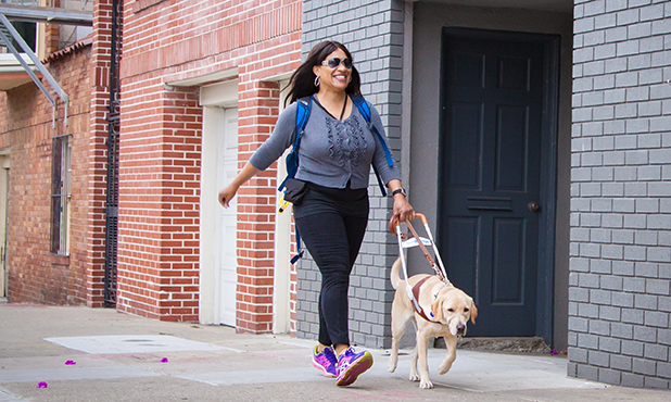 A woman walks down a city sidewalk with a yellow Lab guide dog. 