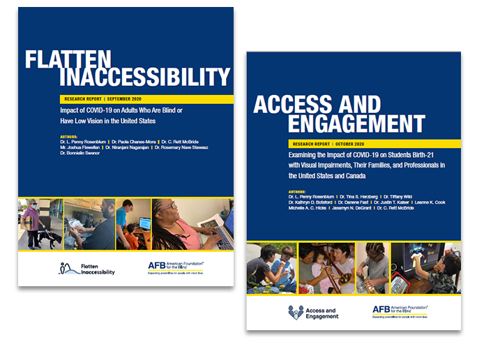 the covers of the Flatten Inaccessibility and Access and Engagement reports