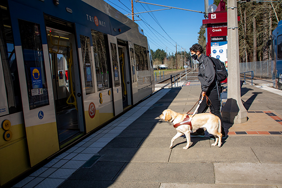 A person with a guide dog boards a light rail train. 