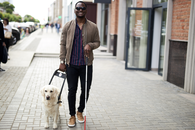 Blind African American man with guide dog walking down a city street. 