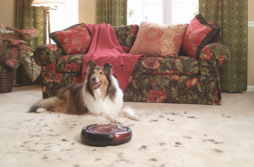  Photo of a dog lying in front of a couch while Roomba sweeps the rug, covered with paw prints, nearby.