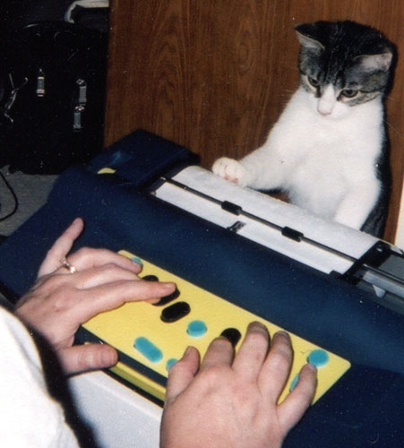 Photo of a kitten peering over the top of a Mountbatten Brailler at someone typing on the keyboard.