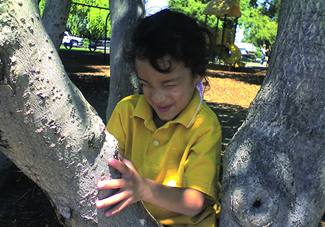A White preschooler sits in a tree exploring a branch of the tree.” width=“460